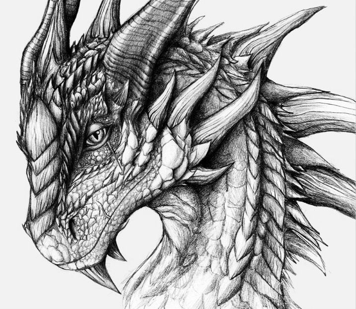 Printable Realistic Dragon Coloring Pages Printable Word Searches Printable Realistic Dragon Coloring Pages Printable Word Searches