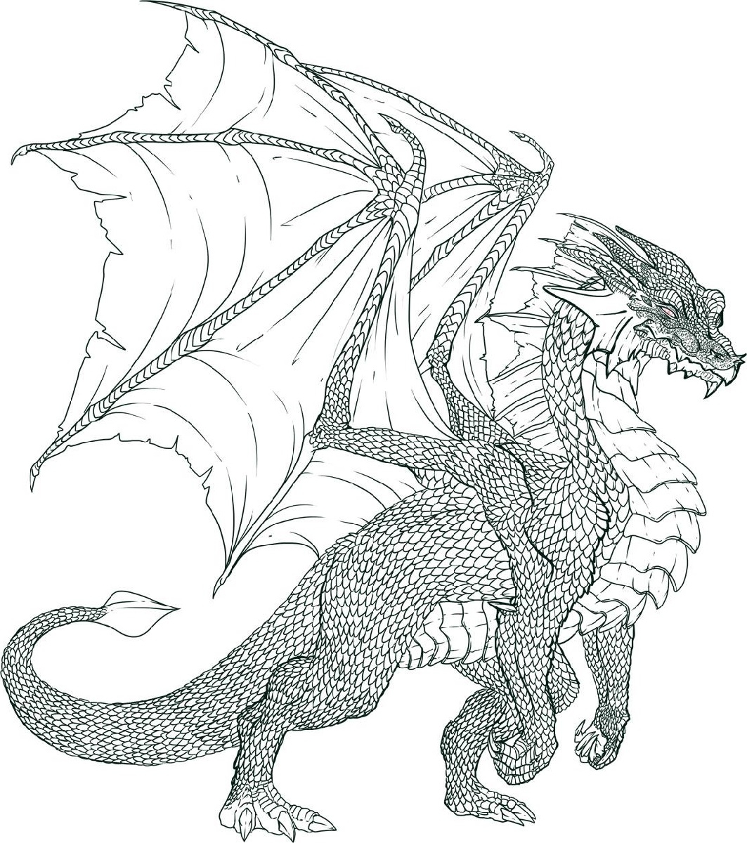 Printable Realistic Dragon Coloring Pages Printable Realistic Dragon Coloring Pages