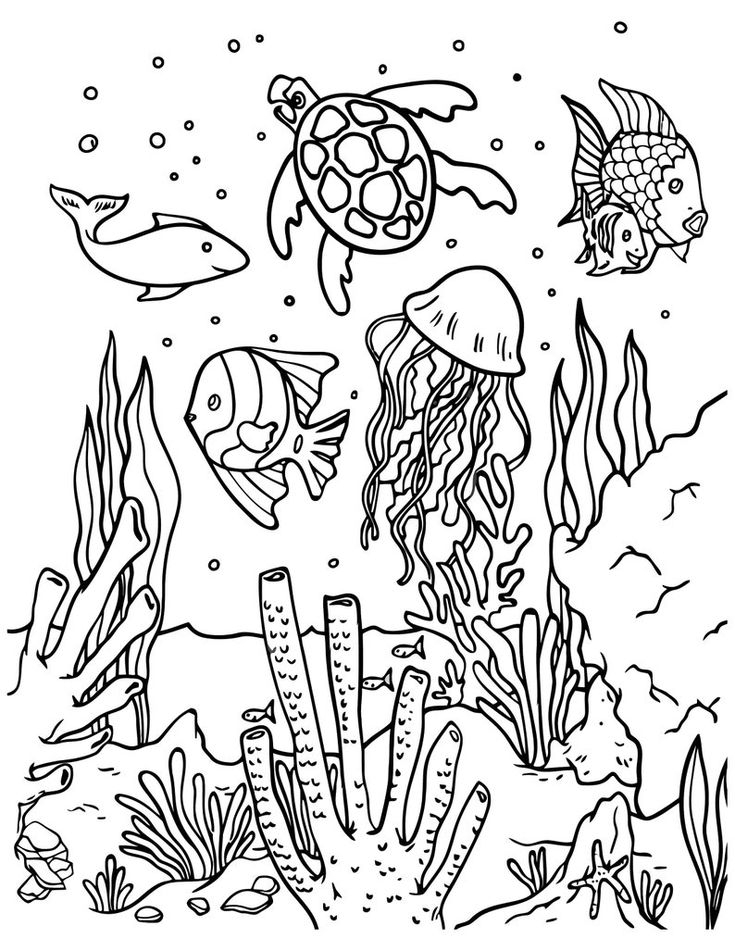 Printable Coloring Pages Sea Animals Printable Coloring Pages Sea Animals
