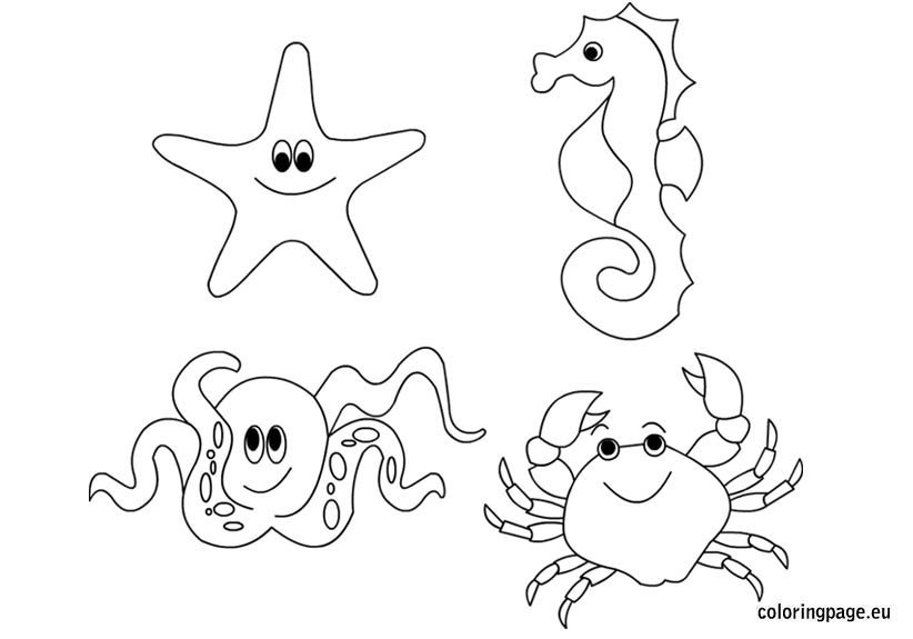 Printable Sea Animals Coloring Pages Printable Word Searches Printable Sea Animals Coloring Pages Printable Word Searches