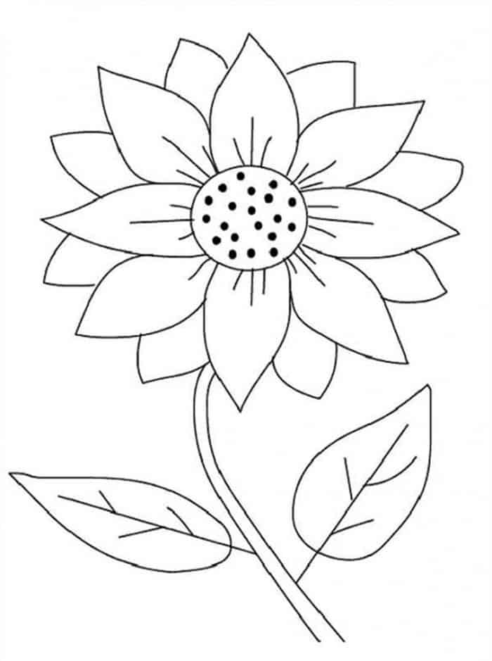 Printable Sunflower Coloring Pages Printable Sunflower Coloring Pages