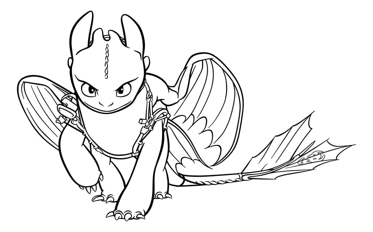 Printable Toothless Coloring Pages Fury Coloriage Toothless Dessin