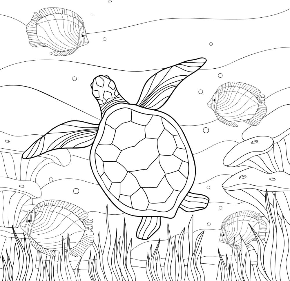 Printable Turtles Printable Turtles