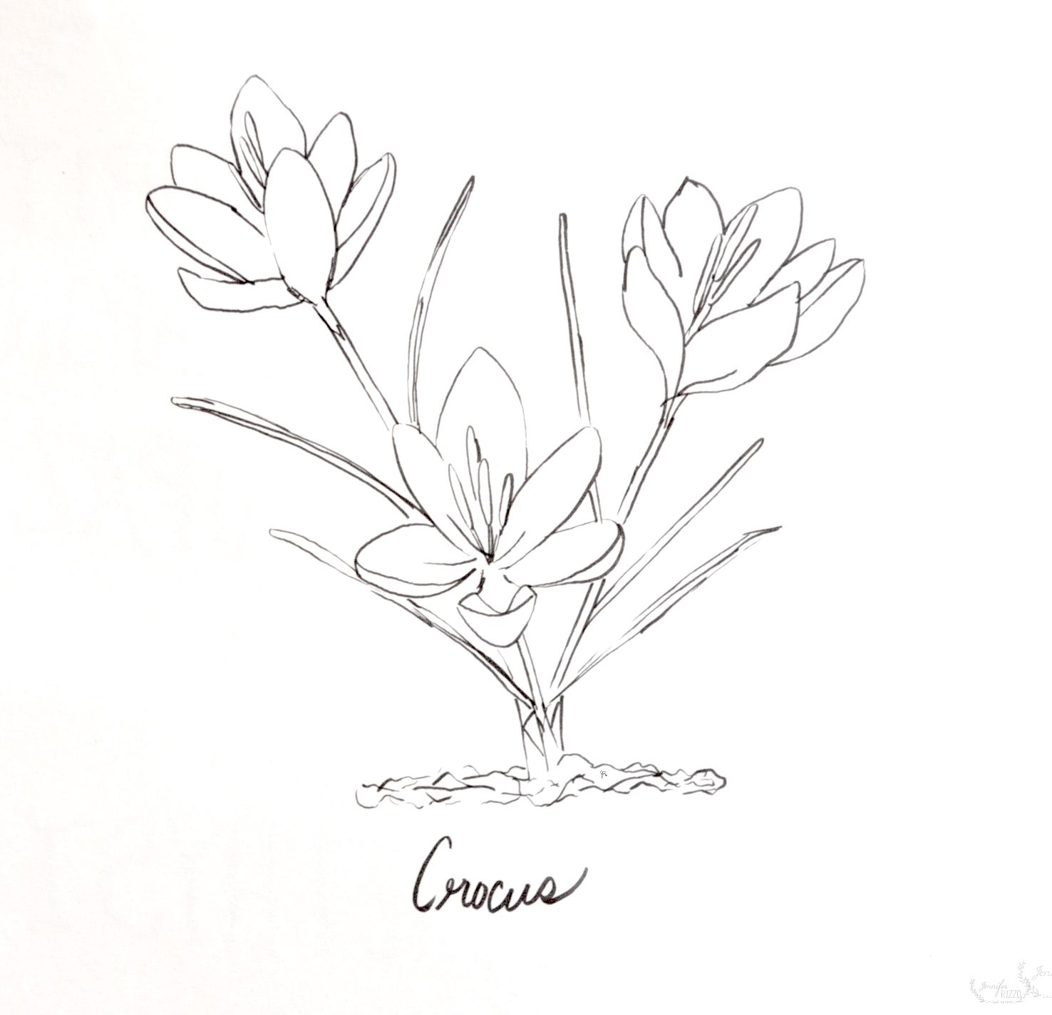 Free Printable Watercolor Coloring Pages Free Printable Watercolor Coloring Pages