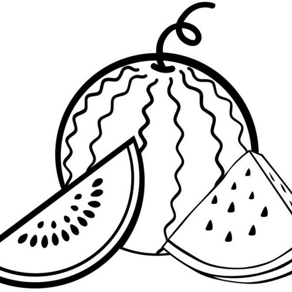 Printable Watermelon Coloring Pages Printable Watermelon Coloring Pages