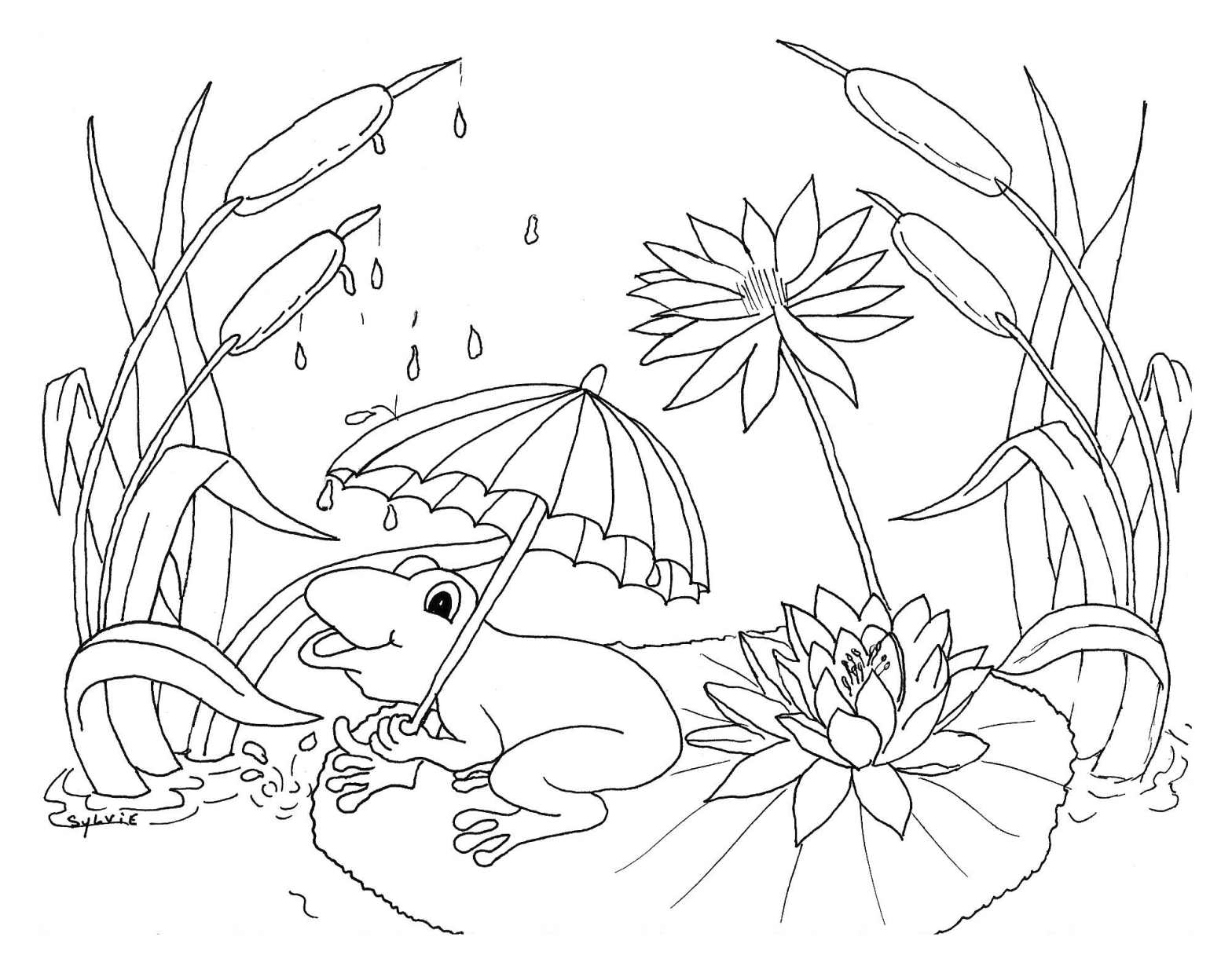 Printable Weather Coloring Pages Printable Weather Coloring Pages