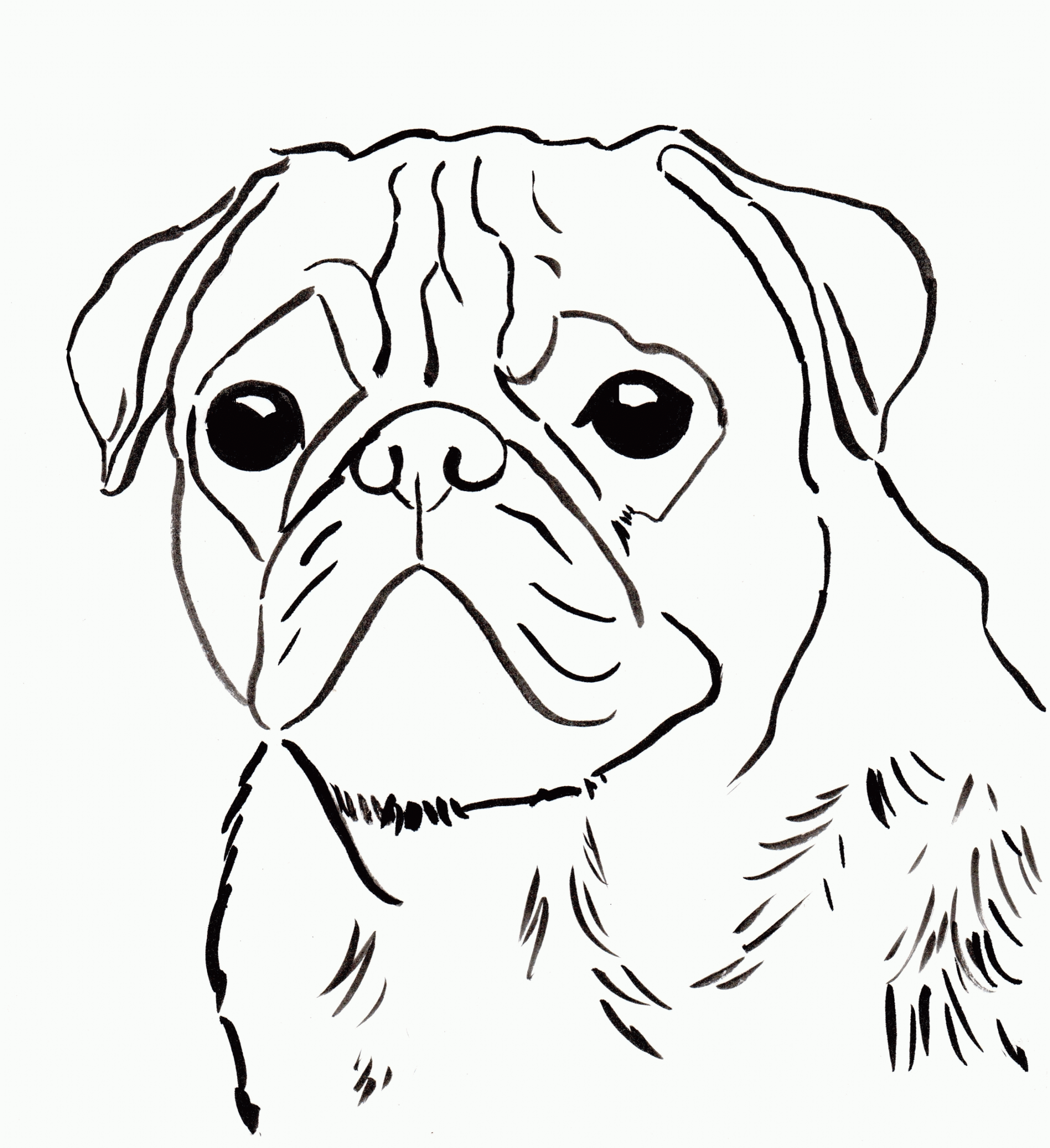 Pug Printable Coloring Pages Printable World Holiday Pug Printable Coloring Pages Printable World Holiday