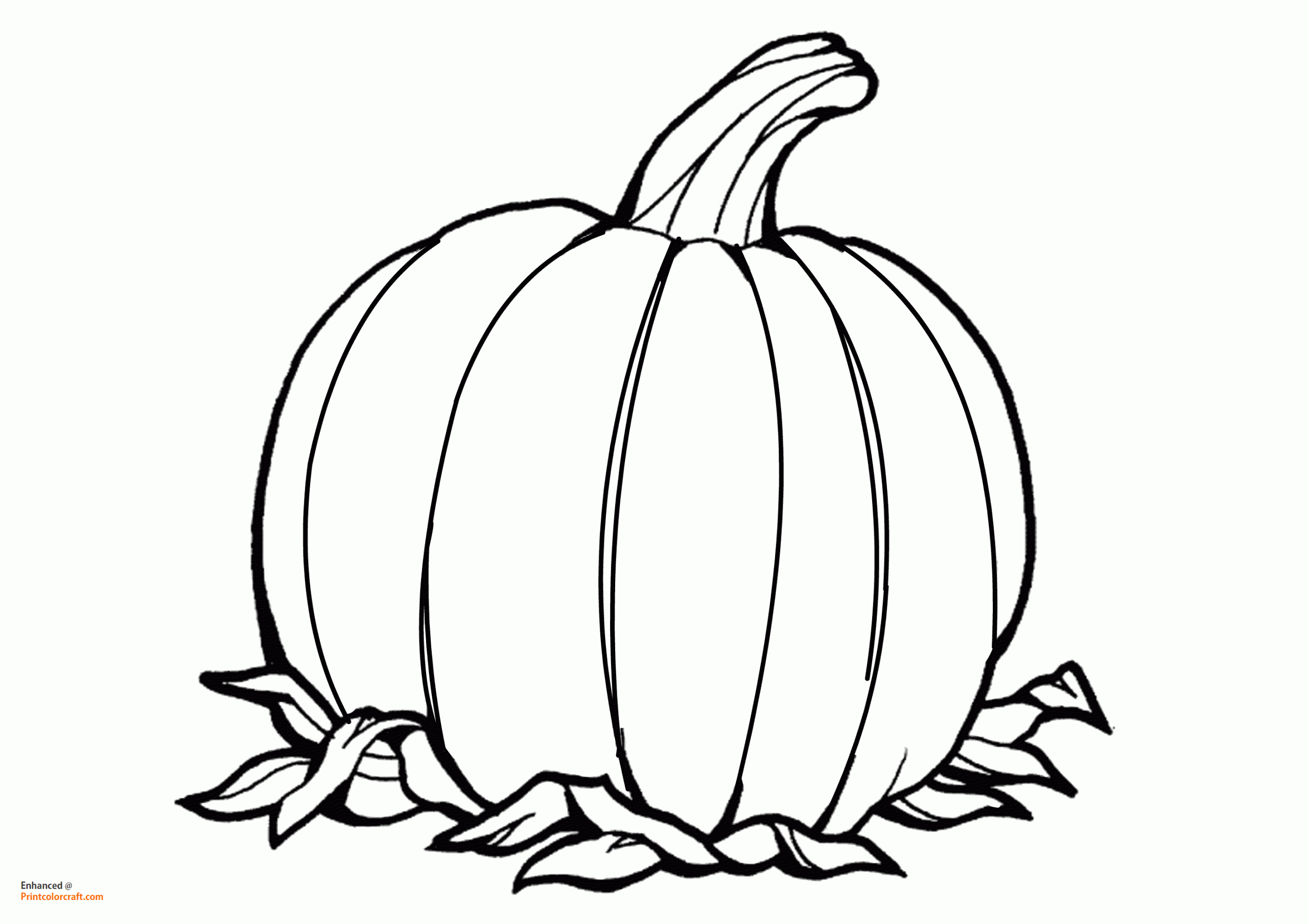 Pumpkin Coloring Pages For Harvest Fall Season Print Color Craft Pumpkin Coloring Pages For Harvest Fall Season Print Color Craft