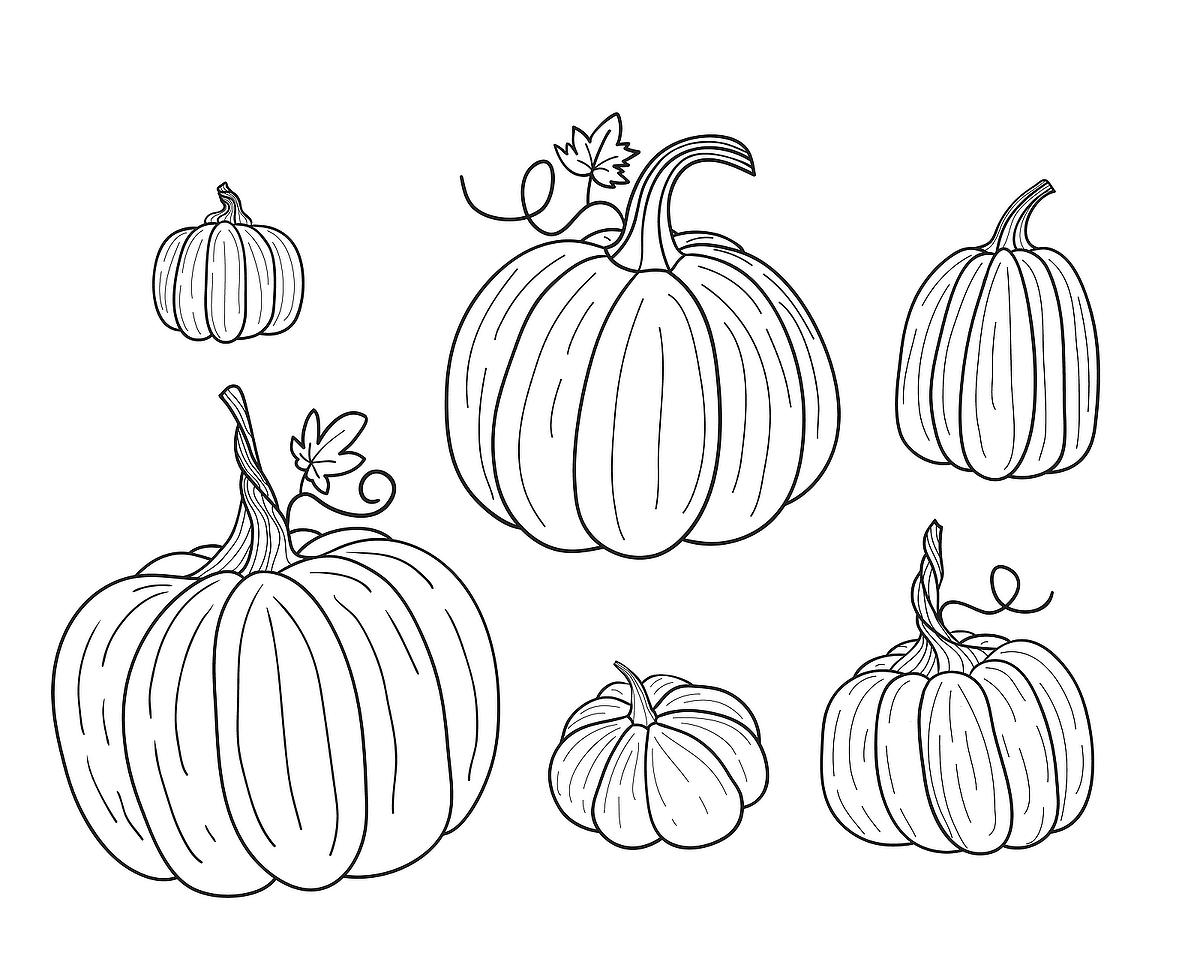 Pumpkin Coloring Pages Free Printable Pumpkin Coloring Pages Free Printable