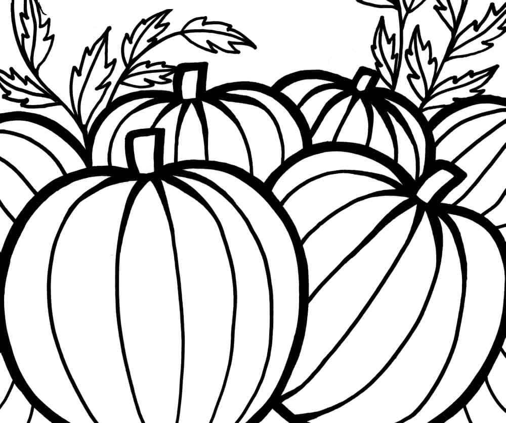 Pumpkin Patch Coloring Pages Free Printable Pumpkin Patch Coloring Pages Free Printable
