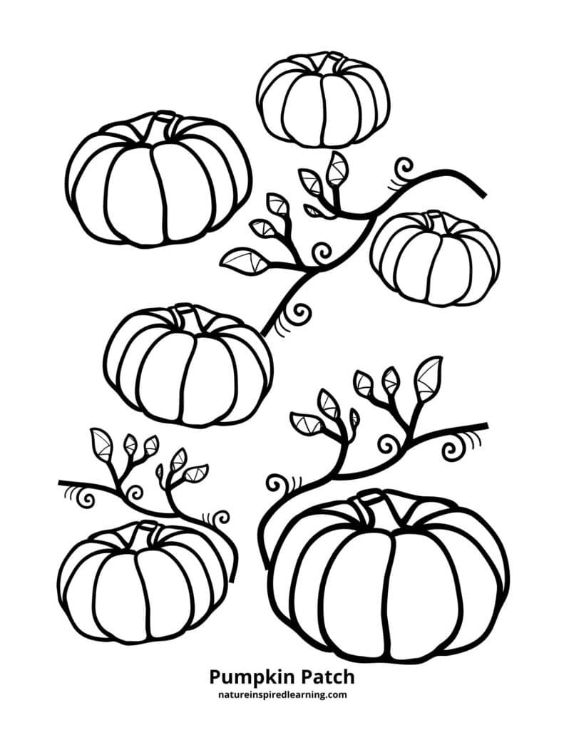 Pumpkin Patch Coloring Pages Free Printable Pumpkin Patch Coloring Pages Free Printable
