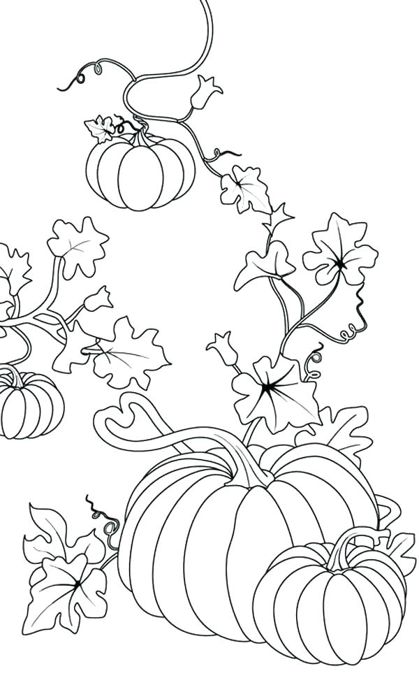 Pumpkin Patch Coloring Pages Printable At GetColorings Free Pumpkin Patch Coloring Pages Printable At GetColorings Free