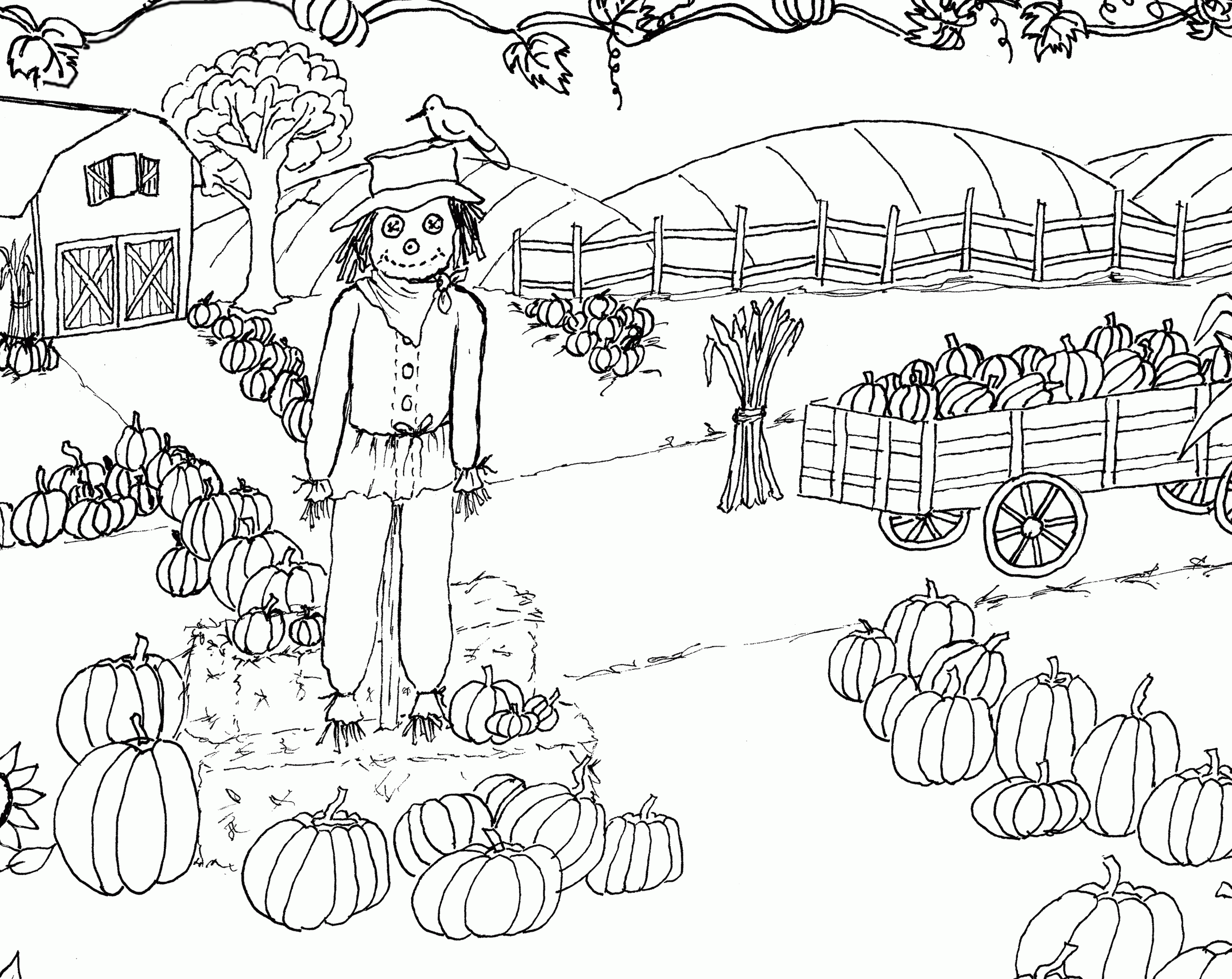 Pumpkin Patch Coloring Pages Printable Coloring Home Pumpkin Patch Coloring Pages Printable Coloring Home