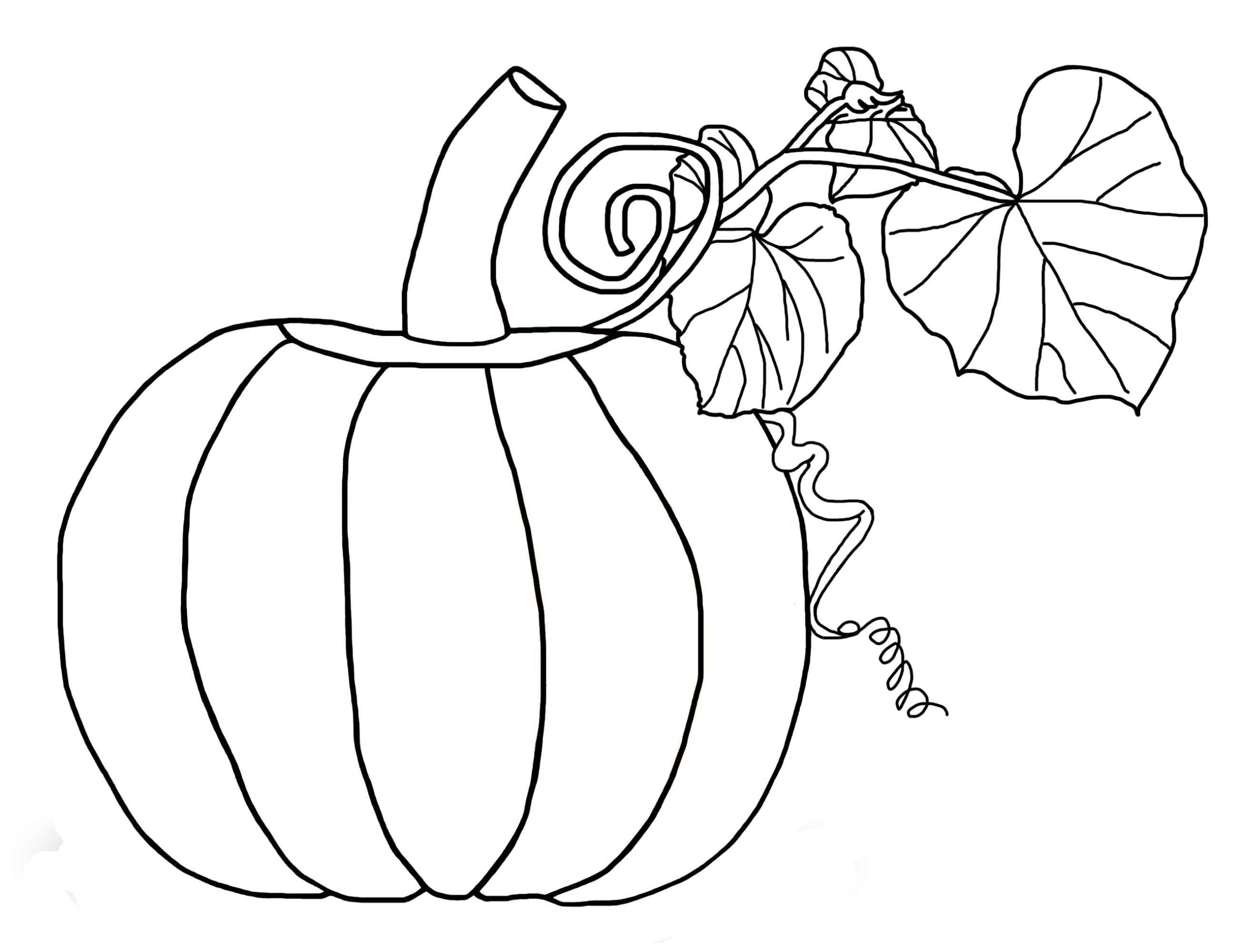 Pumpkin Plant Drawing Free Download On ClipArtMag Pumpkin Plant Drawing Free Download On ClipArtMag