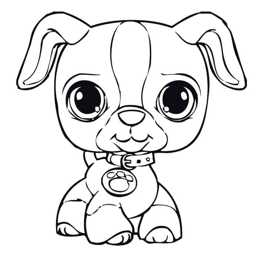 Puppy Coloring Pages Coloring Rocks 