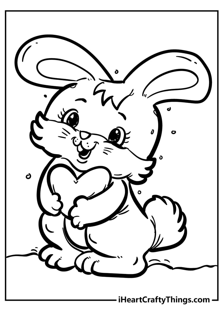 Rabbit Heart Diagram