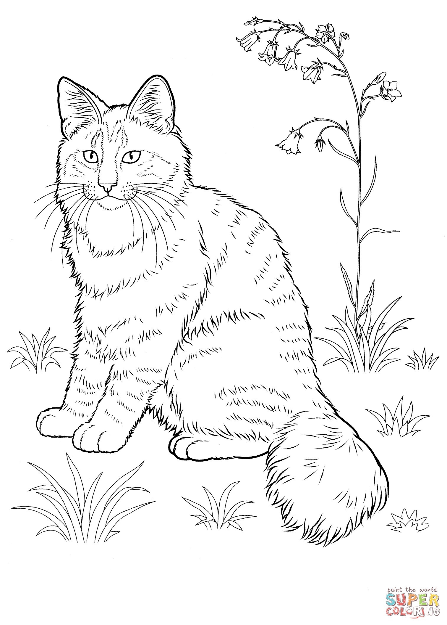 Realistic Cat Coloring Pages BubaKids Realistic Cat Coloring Pages BubaKids