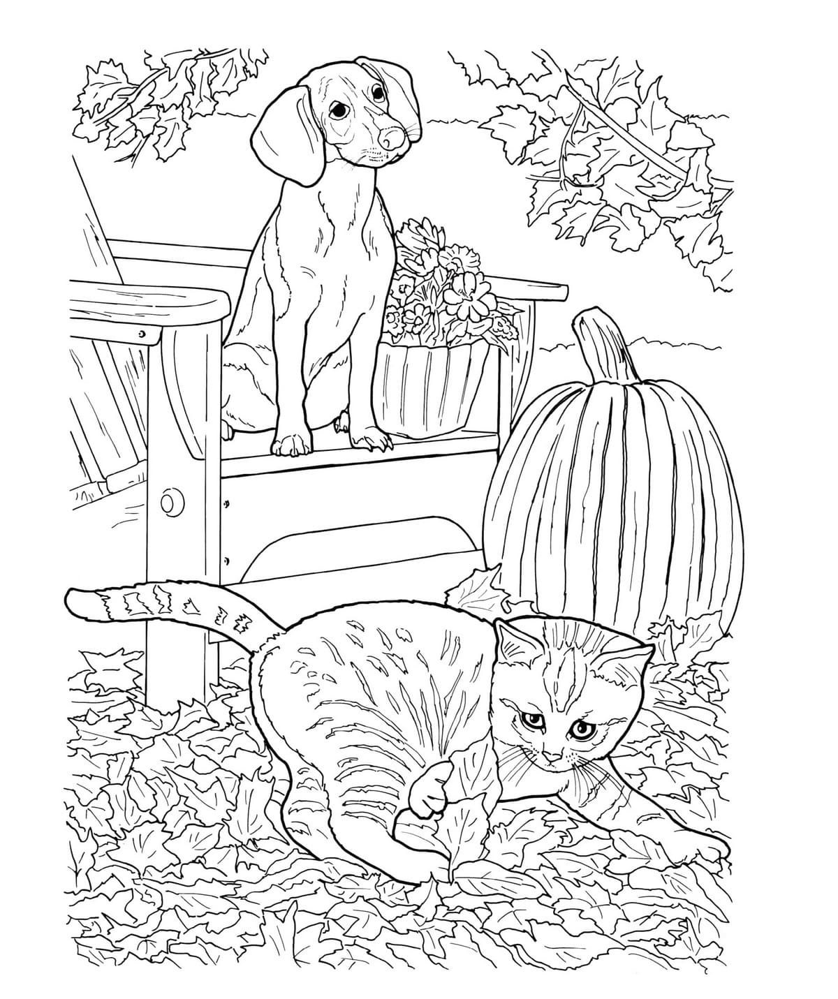 Realistic Dog And Cat Coloring Page Free Printable Coloring Pages For Realistic Dog And Cat Coloring Page Free Printable Coloring Pages For