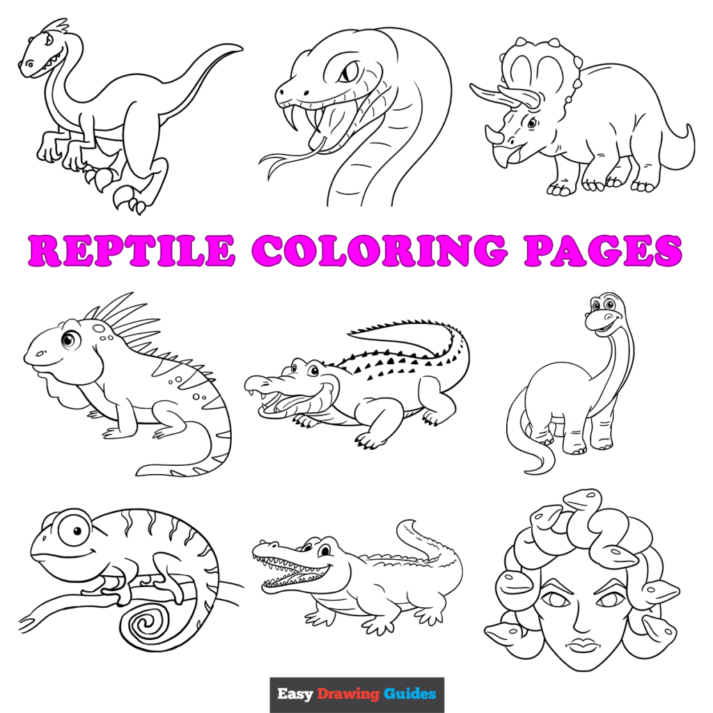 Reptile Coloring Pages Printable Reptile Coloring Pages Printable