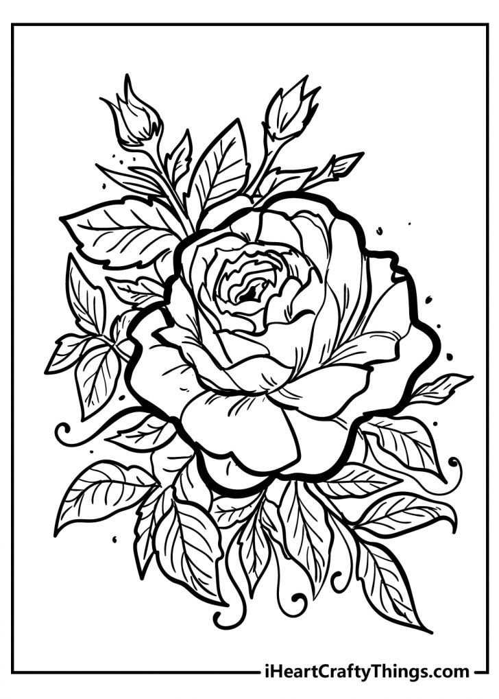 Rose Coloring Pages Original And 100 Free 2021 Rose Coloring Pages Original And 100 Free 2021