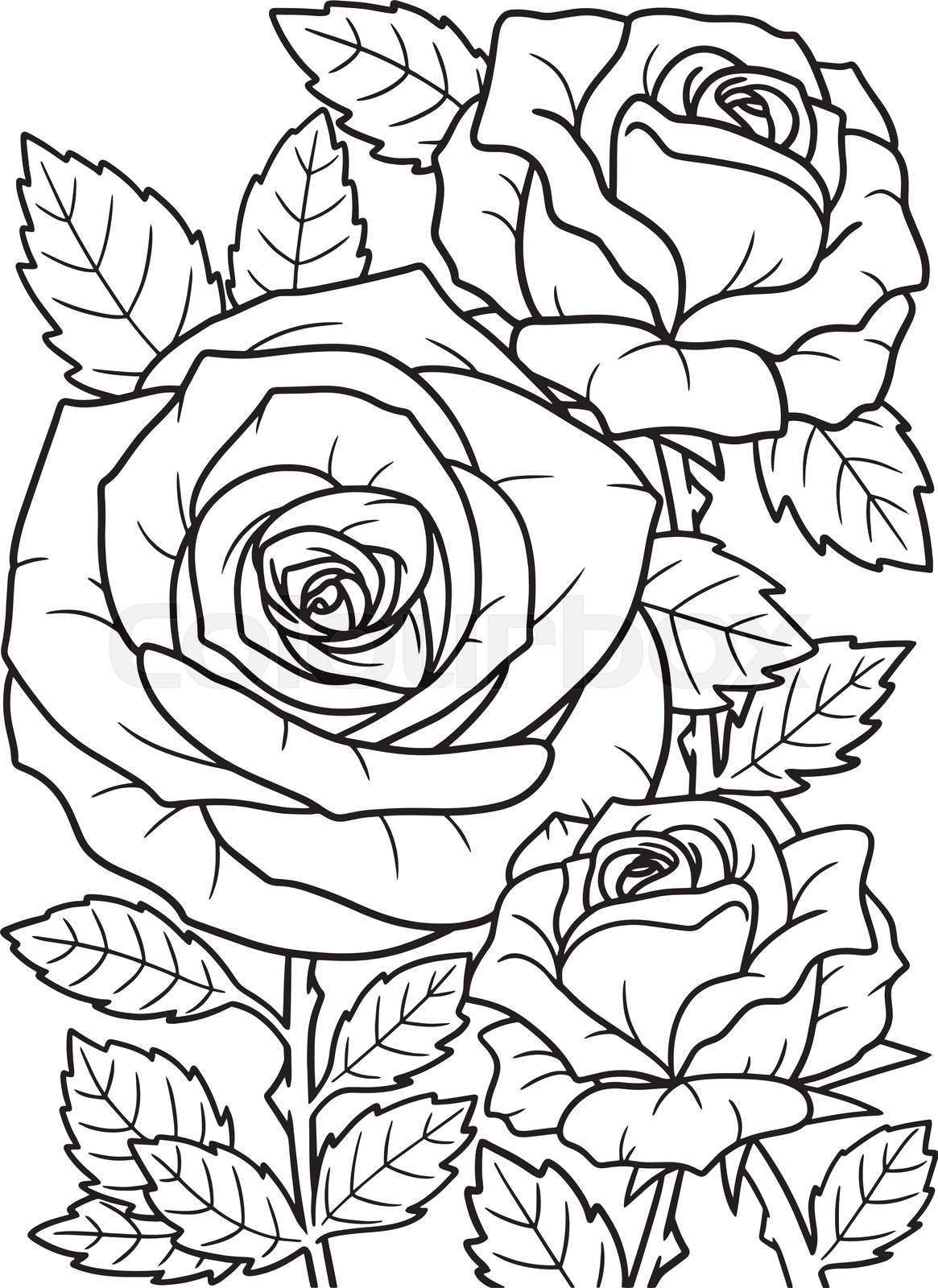 Printable Adult Flower Coloring Pages