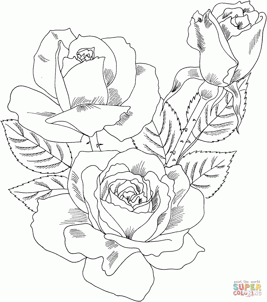 Roses Printable Coloring Pages Printable Word Searches Roses Printable Coloring Pages Printable Word Searches