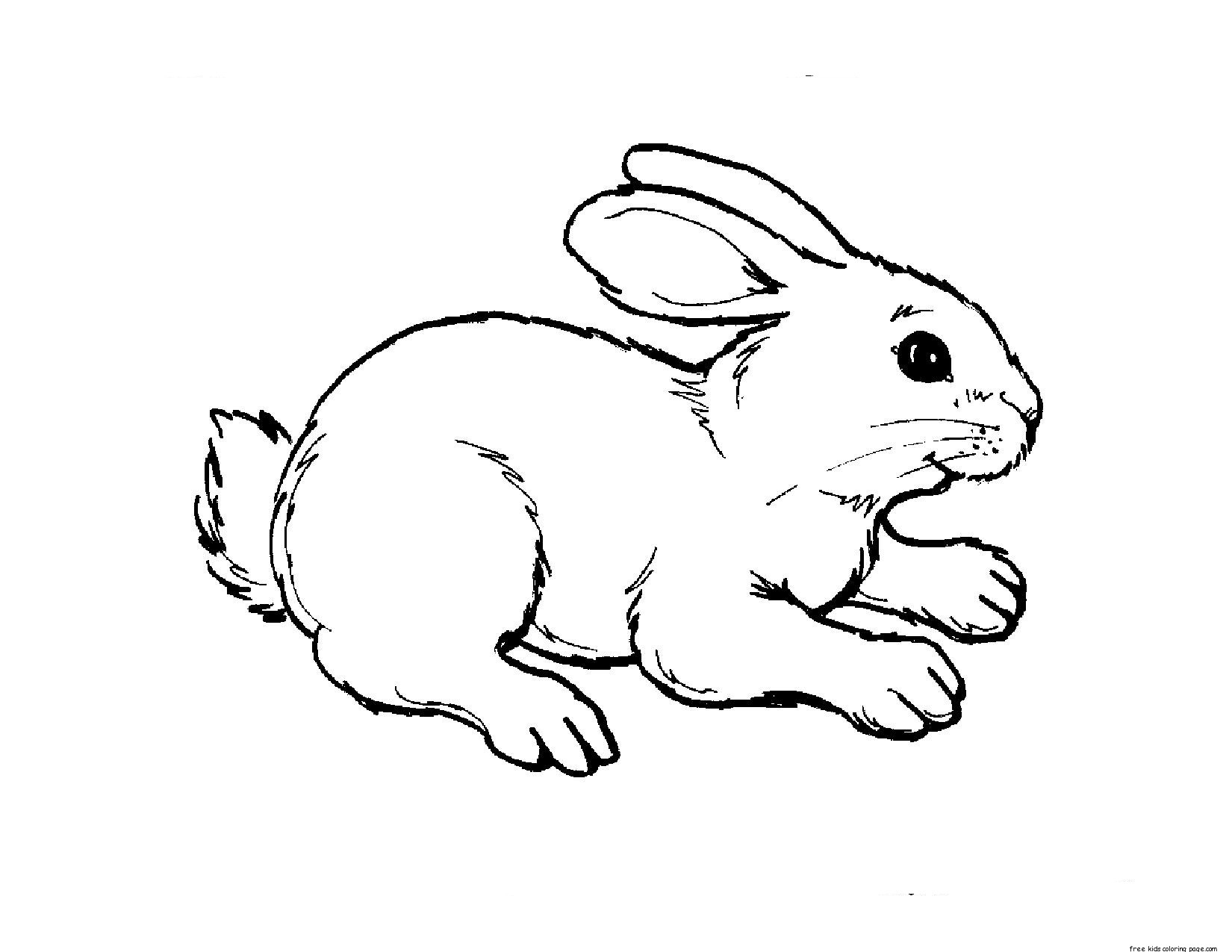 Free Printable Coloring Pages Of Rabbits