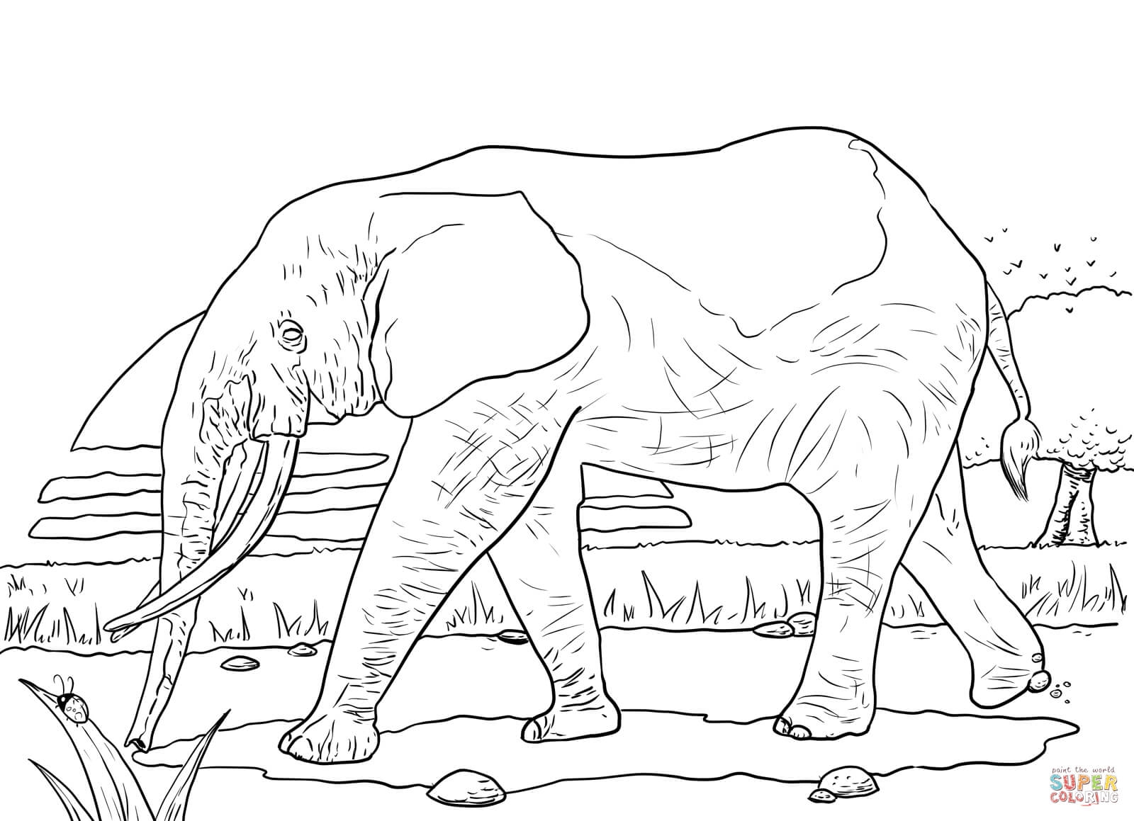 Savanna Coloring Pages Coloring Home Savanna Coloring Pages Coloring Home