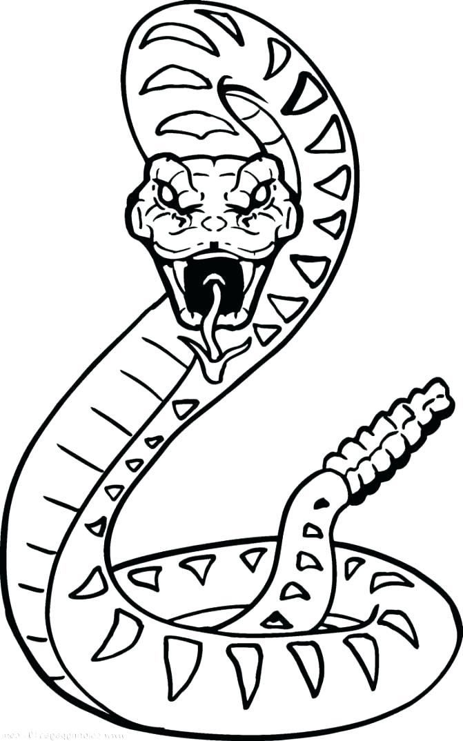 Scary Snake Coloring Pages At GetDrawings Free Download Scary Snake Coloring Pages At GetDrawings Free Download