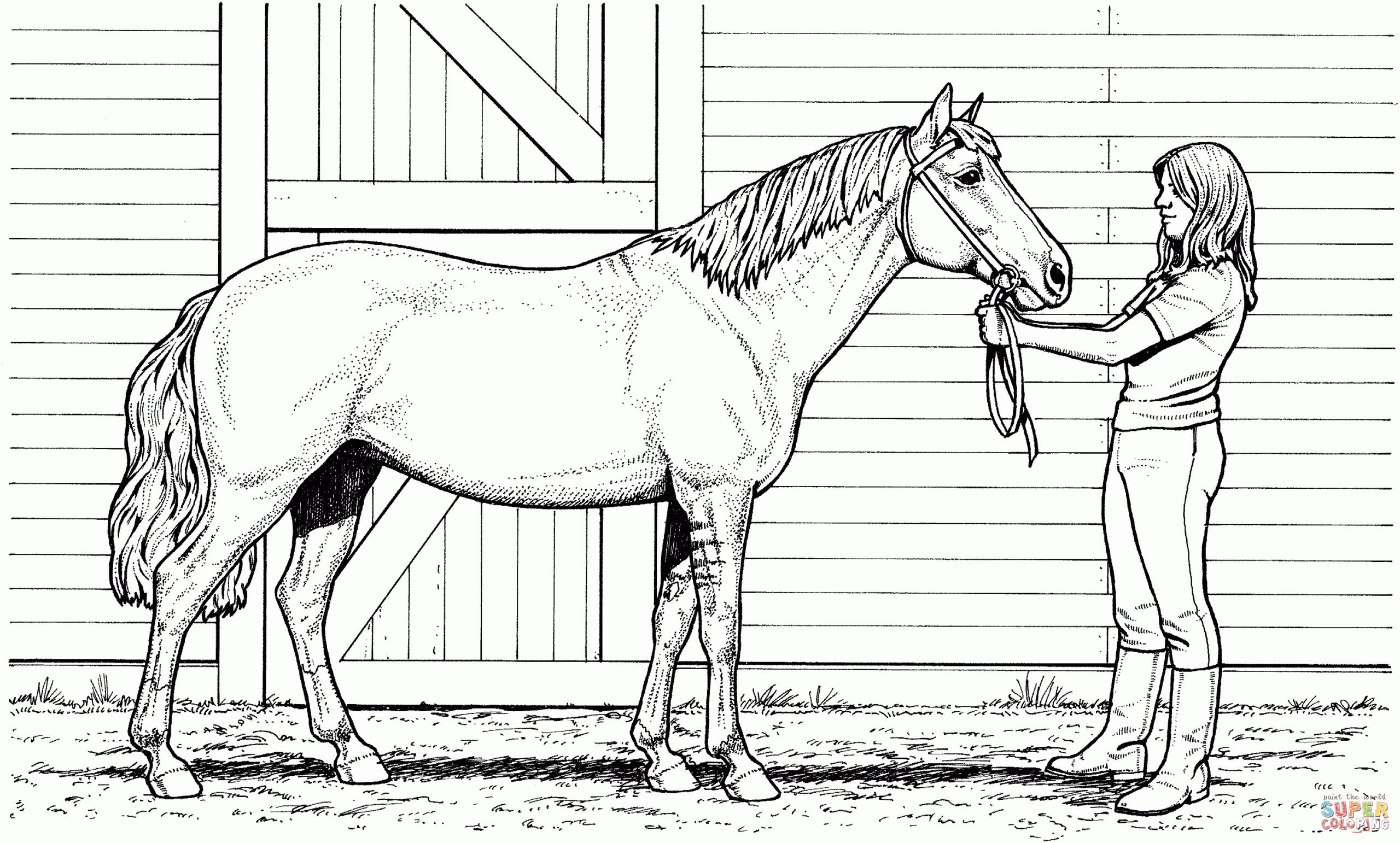 Schleich Horses Coloring Pages Clip Art Library Schleich Horses Coloring Pages Clip Art Library