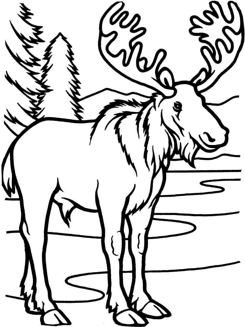Sculpture Coloring Pages At GetColorings Free Printable Colorings Sculpture Coloring Pages At GetColorings Free Printable Colorings