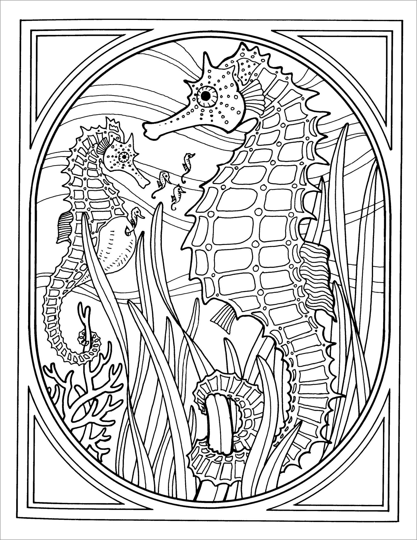 Seahorse Coloring Pages ColoringBay