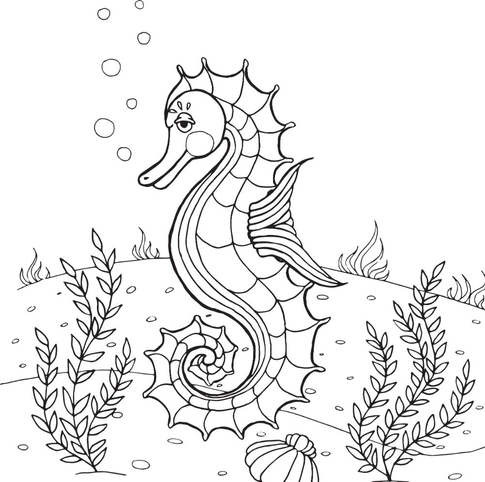Seahorse Printable Coloring Pages Seahorse Printable Coloring Pages