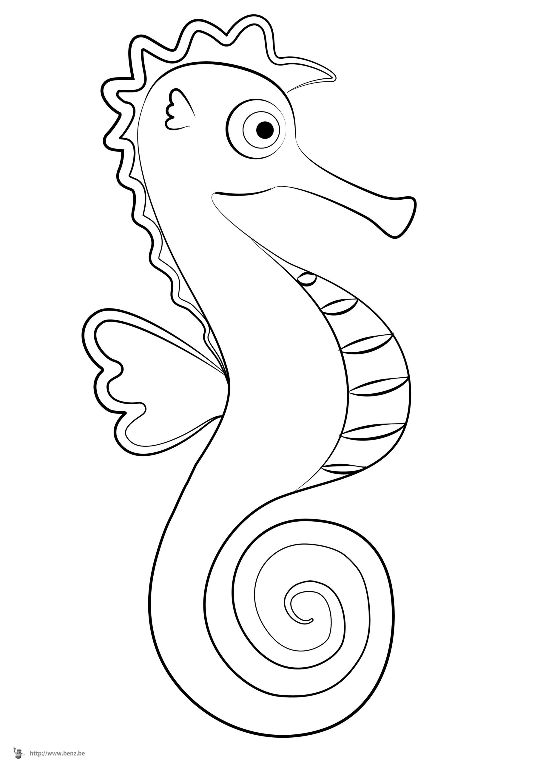Seahorse Printable Coloring Pages Seahorse Printable Coloring Pages