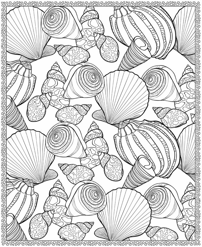 Seashell Printable Coloring Pages