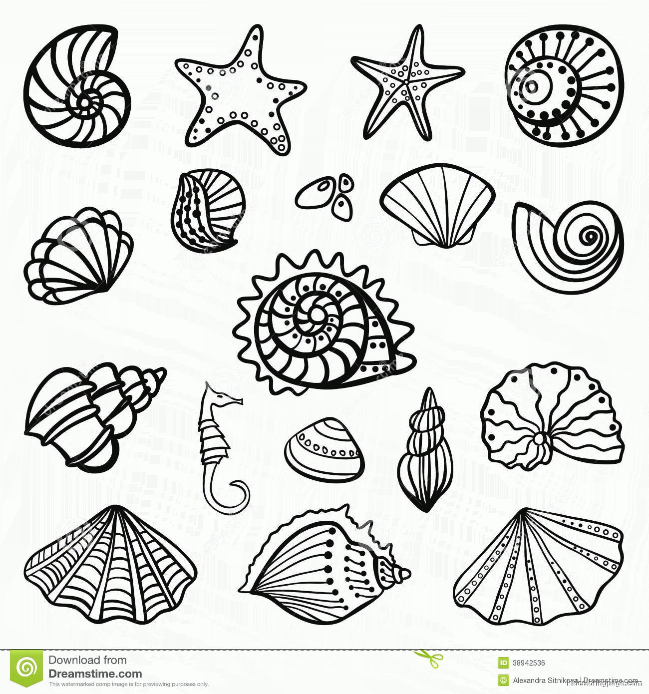 Seashell Printable Coloring Pages Coloring Home