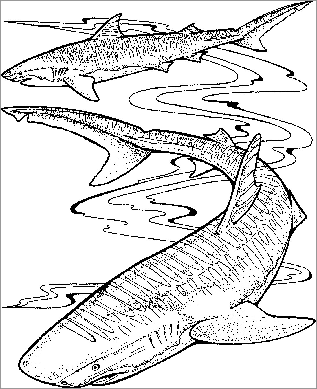 Shark Coloring Pages For Adults ColoringBay Shark Coloring Pages For Adults ColoringBay