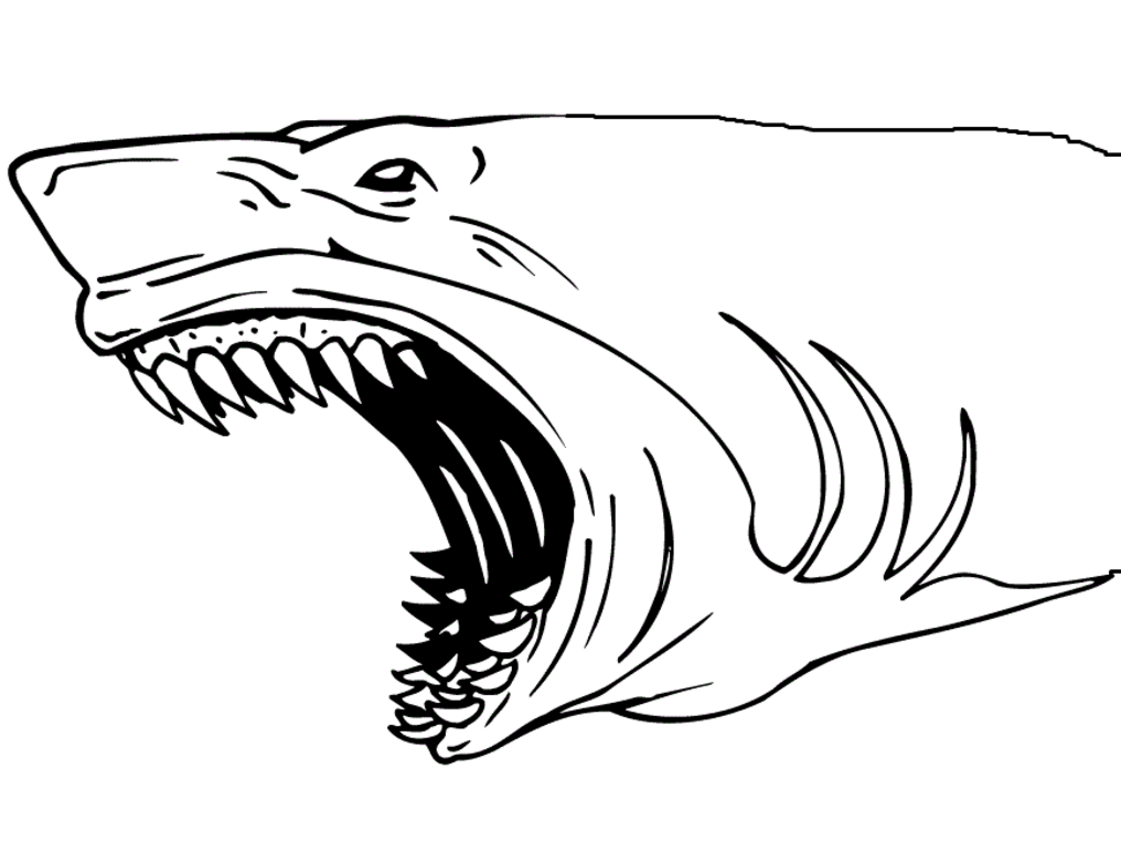 Shark Coloring Pages Printable Shark Coloring Pages Printable