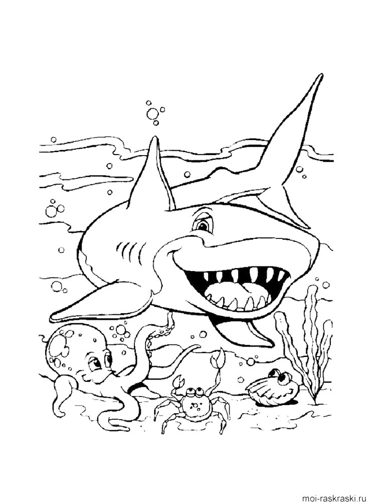 Printable Coloring Pages Sharks Printable Coloring Pages Sharks