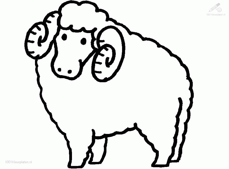 Printable Sheep Coloring Pages Printable Sheep Coloring Pages