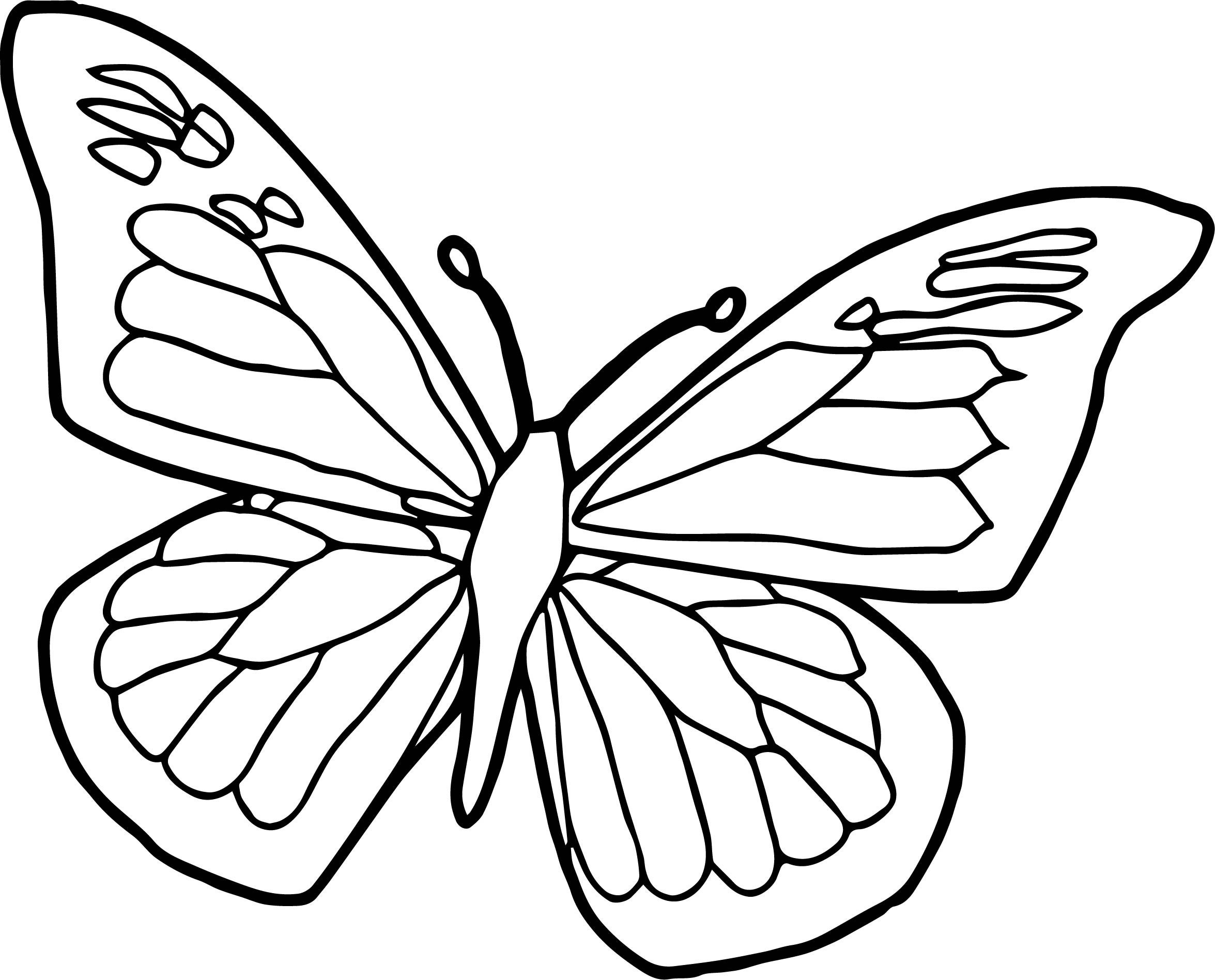 Simple Butterfly Coloring Pages Printable