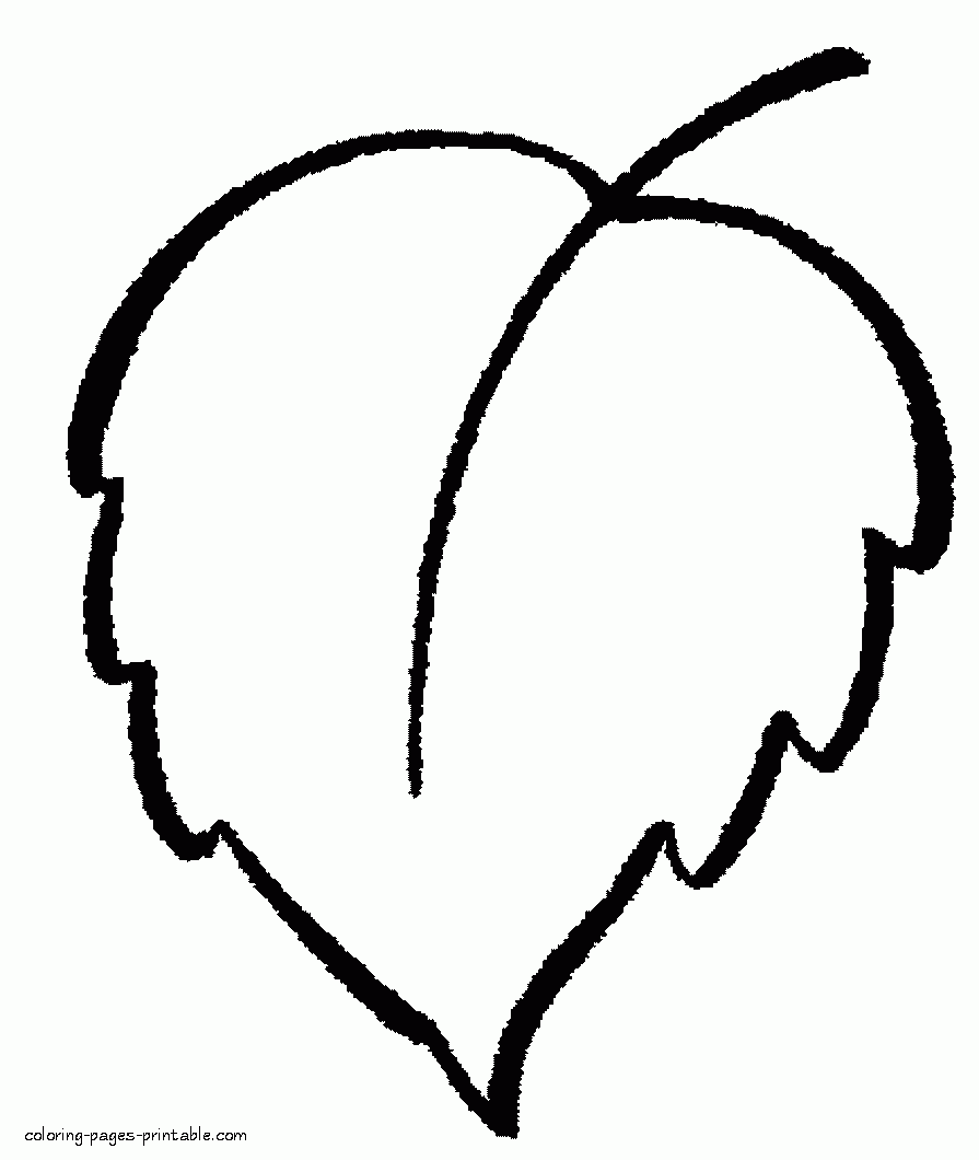 Simple Coloring Sheets Of Leaves COLORING PAGES PRINTABLE COM Simple Coloring Sheets Of Leaves COLORING PAGES PRINTABLE COM