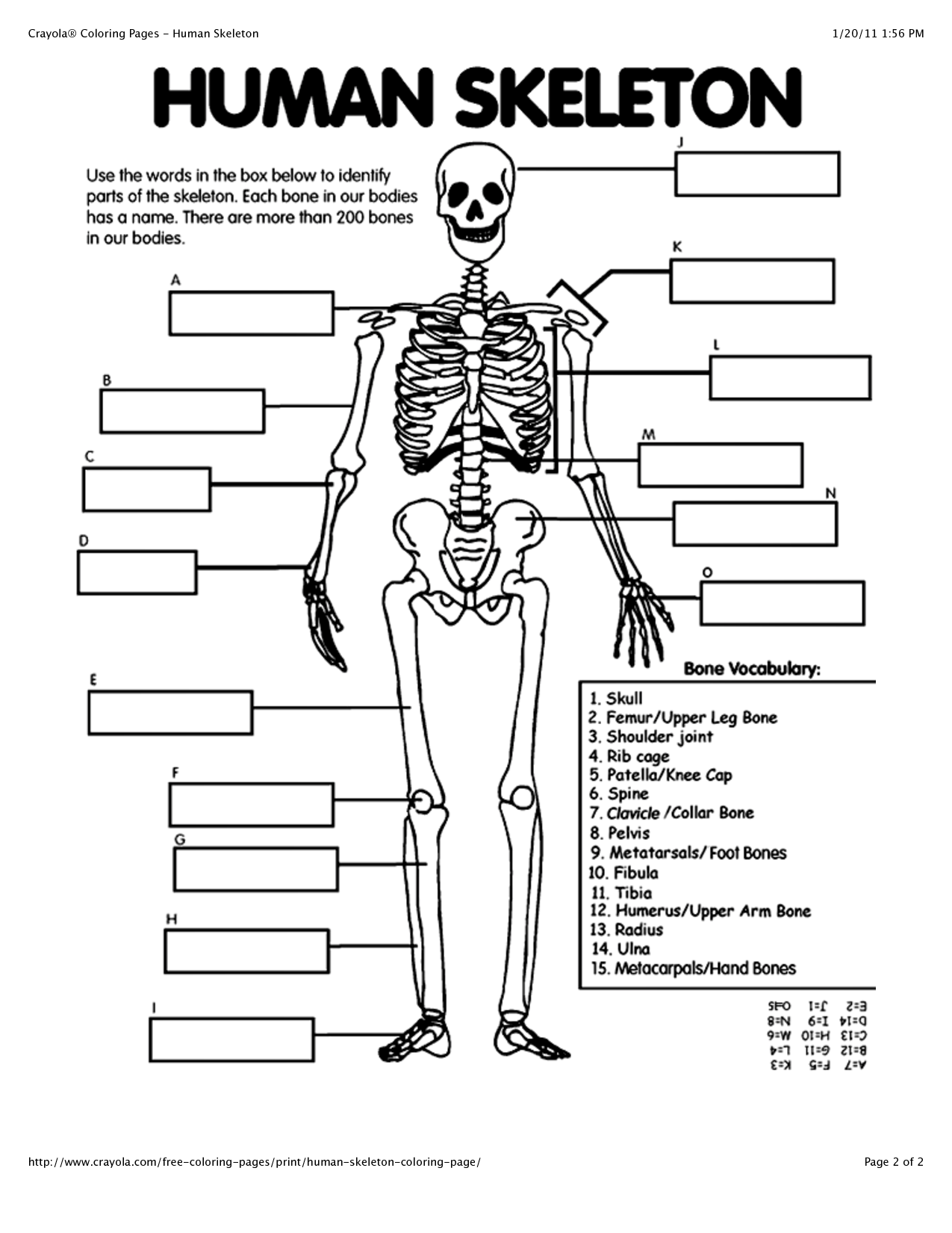 Skeleton Coloring Pages Human Bones Anatomy Bone Kids Vrogue Co Skeleton Coloring Pages Human Bones Anatomy Bone Kids Vrogue Co