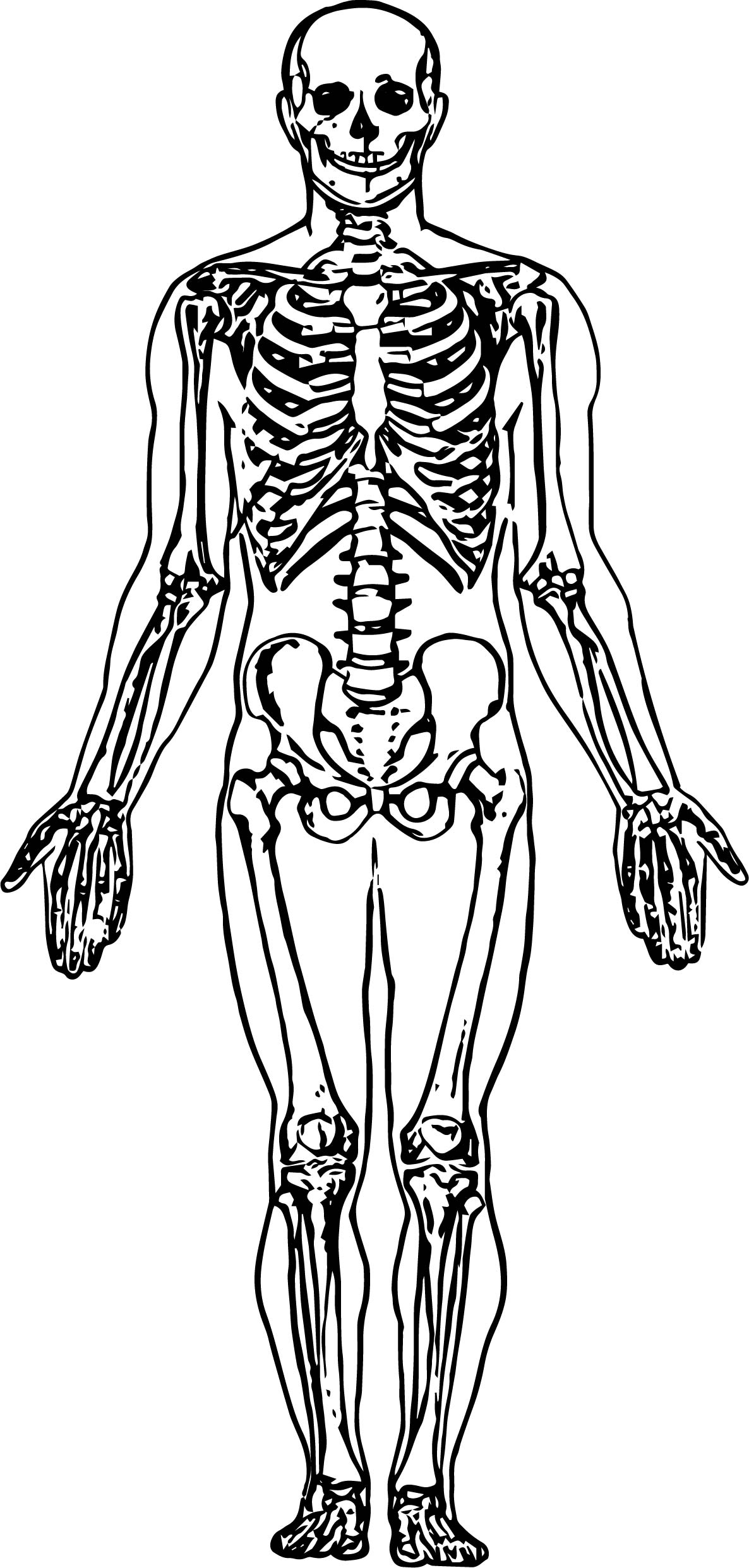 Skeleton Coloring Pages Printable Skeleton Coloring Pages Printable