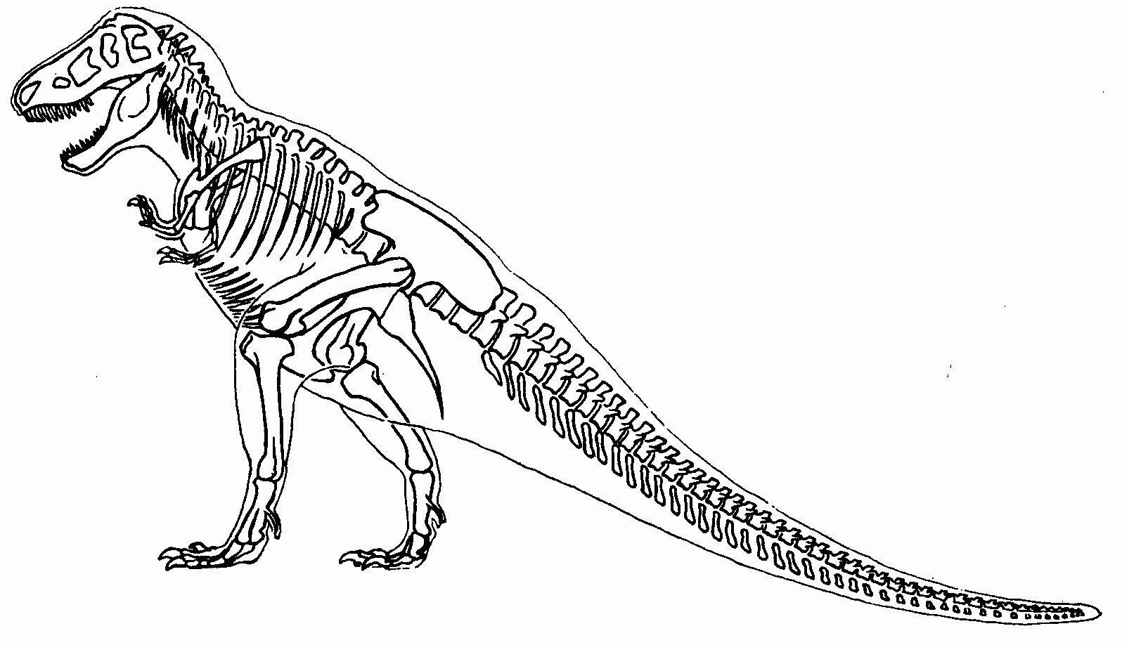 Skeleton T Rex Coloring Page Free Printable Coloring Pages For Kids Skeleton T Rex Coloring Page Free Printable Coloring Pages For Kids
