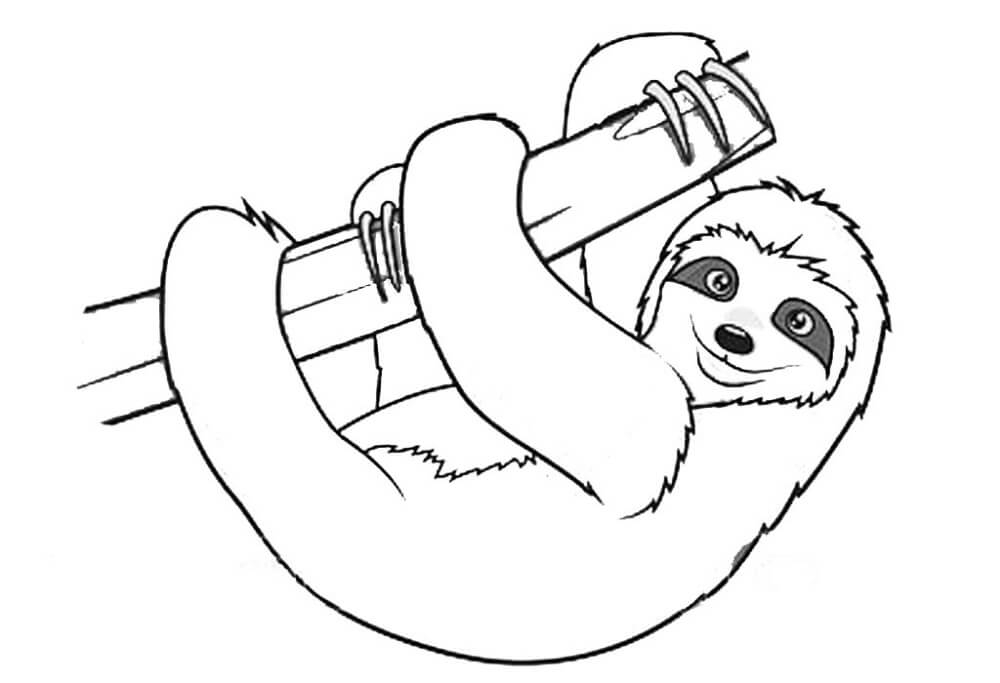 Sloth Coloring Pages Printable Sloth Coloring Pages Printable
