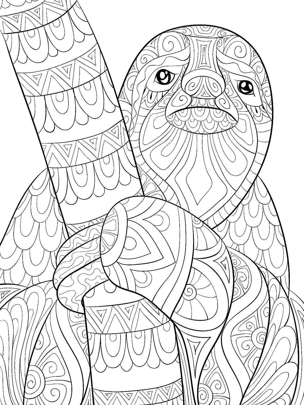 Sloth Coloring Pages Printable Sloth Coloring Pages Printable