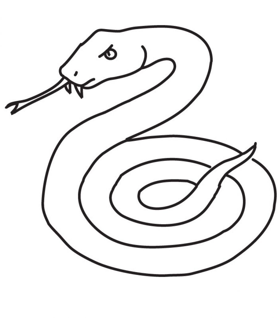 Snake Coloring Pages Printable ColoringMe
