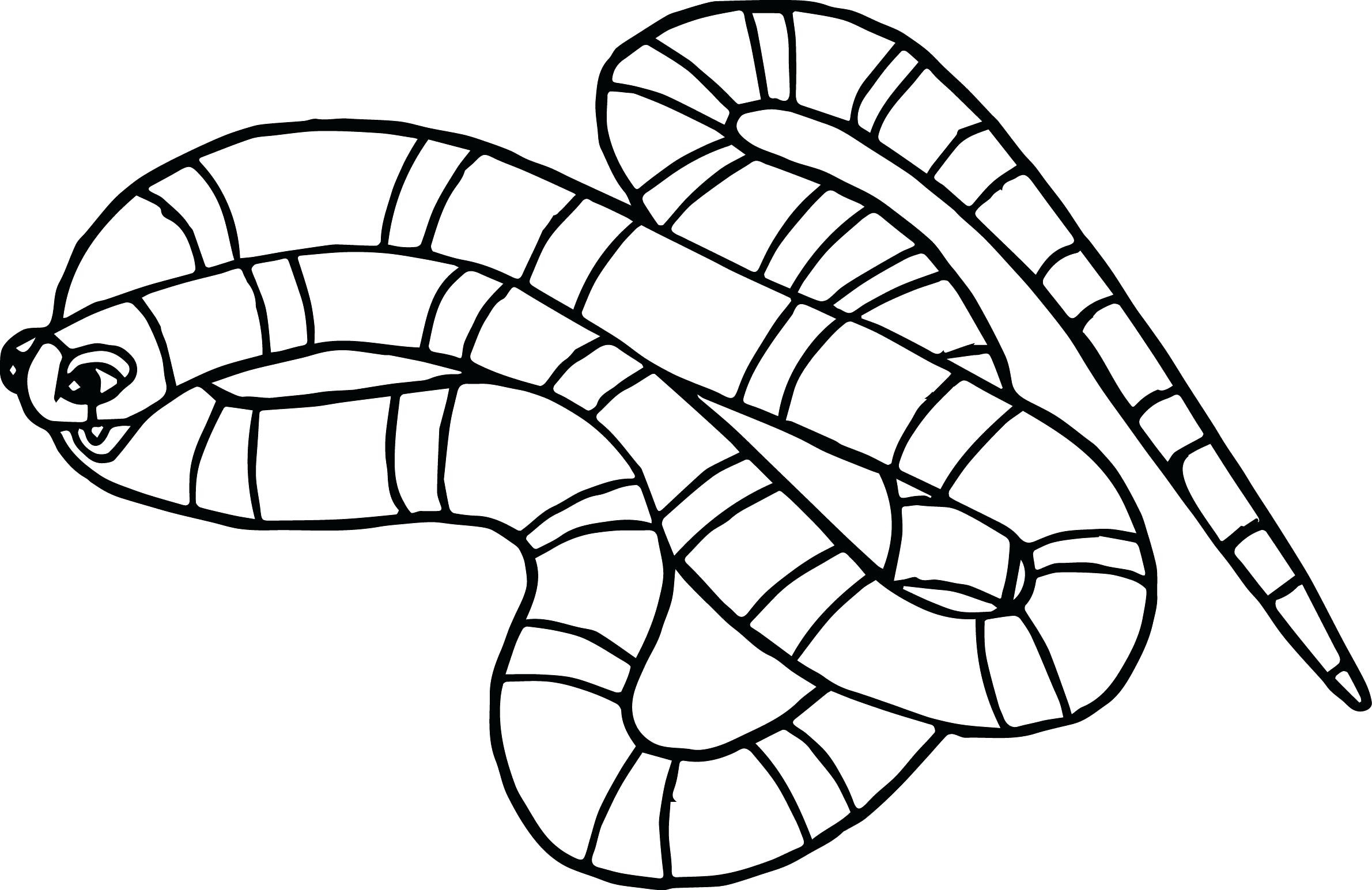 Free Snake Coloring Pages Printables Free Snake Coloring Pages Printables