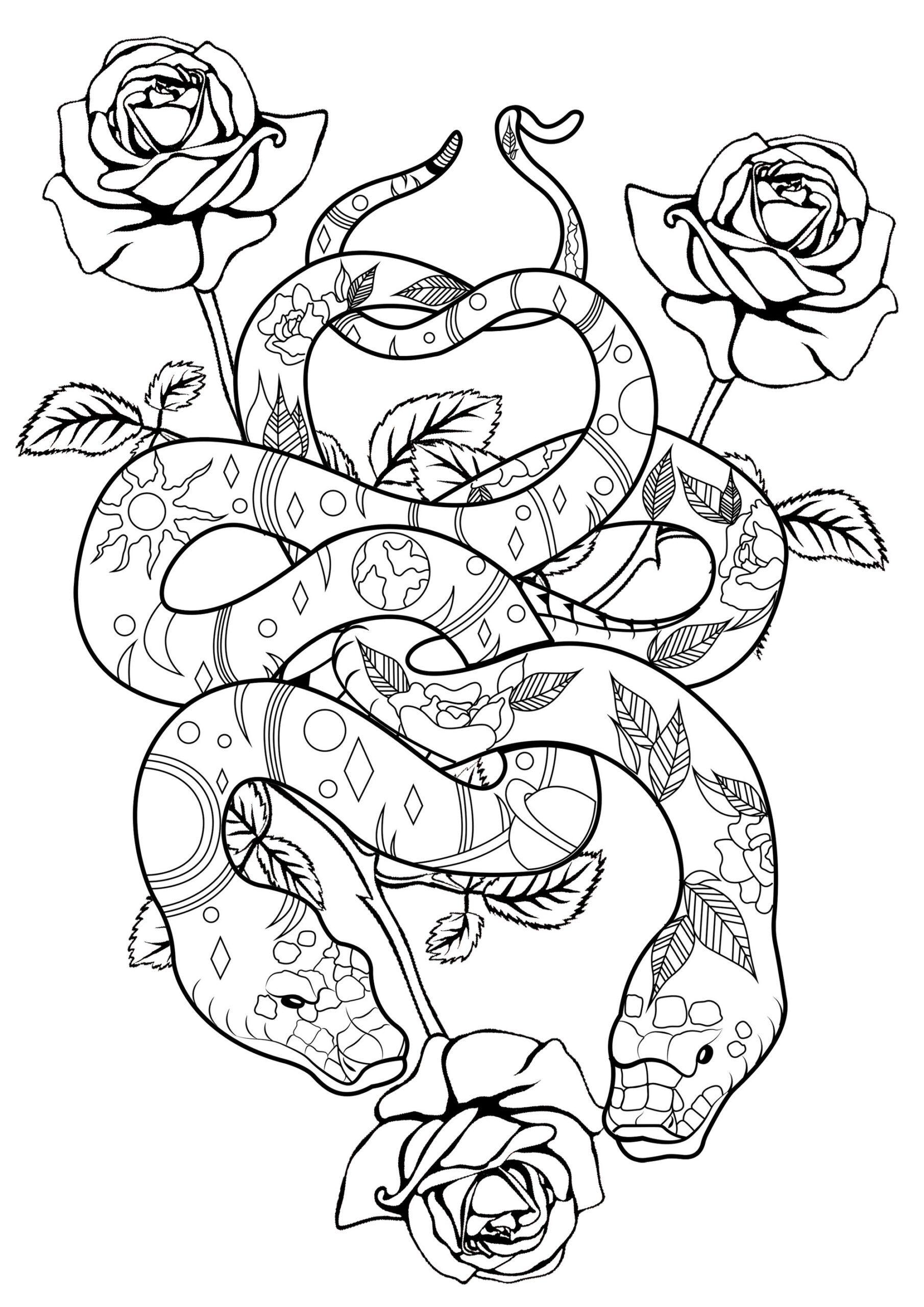 Coloring Pages Snakes Printable Coloring Pages Snakes Printable
